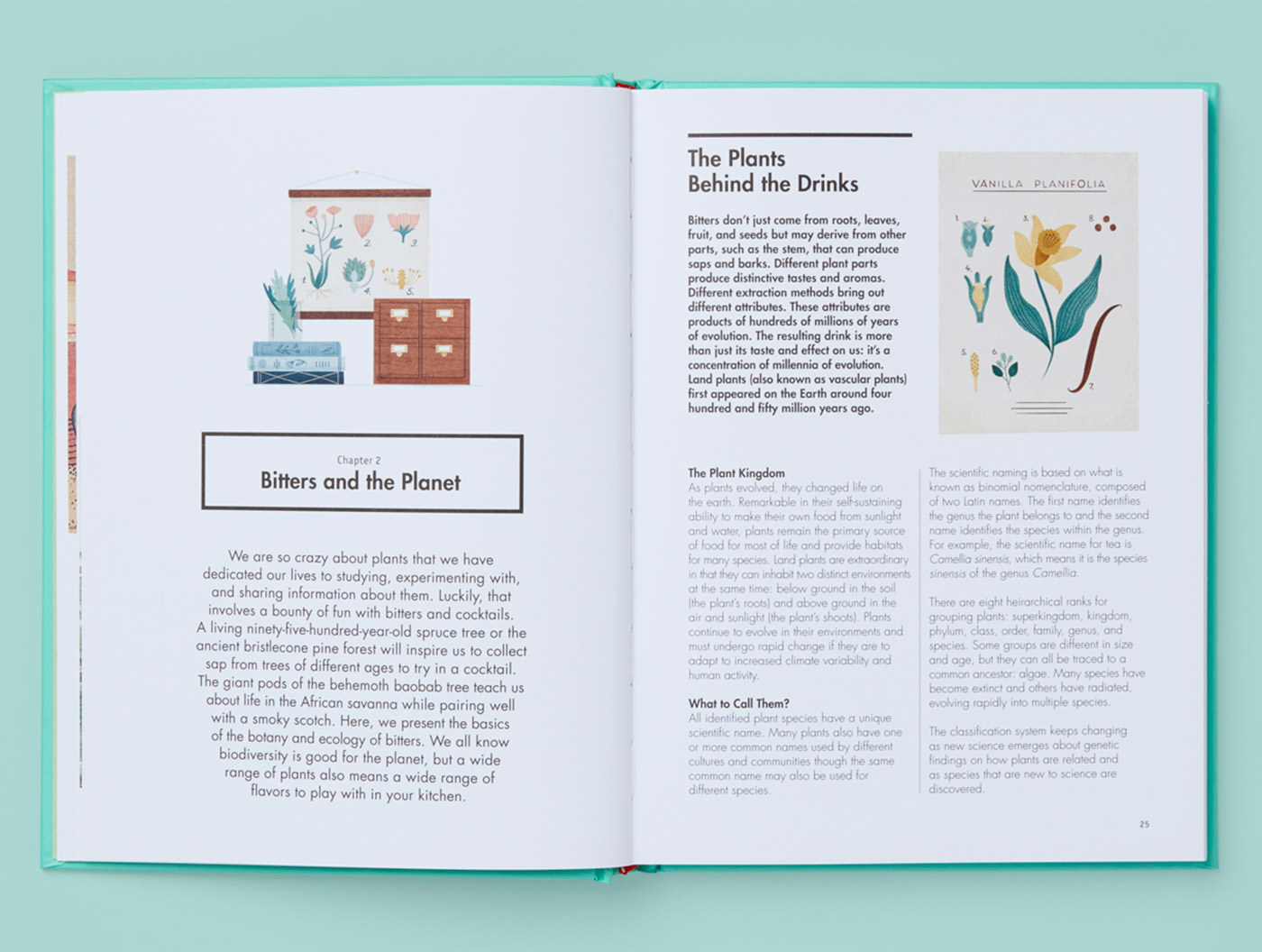 Botany at the Bar, The Art and Science of Making Bitters Studio Noel