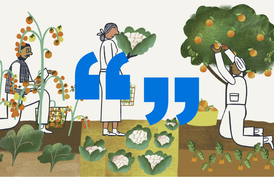 Illustration of a man reading a book, a woman harvesting cauliflowers, and a man harvesting oranges