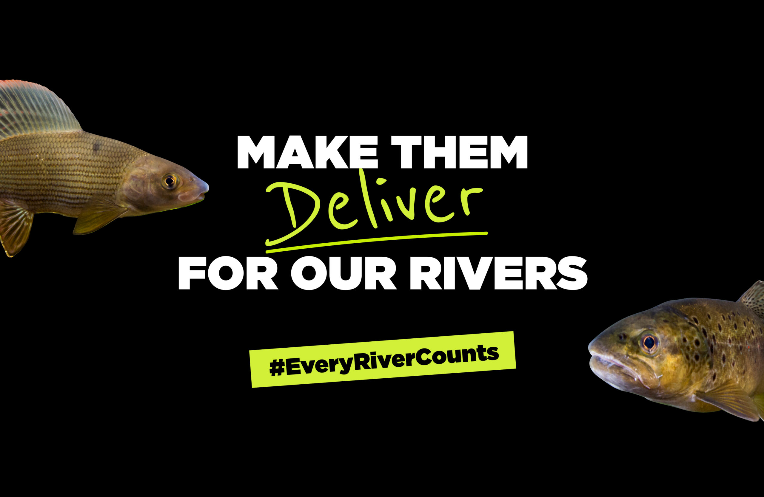 A graphic image showing off the Fish Legal campaign identity. It says "Make them deliver for our rivers #EveryRiverCounts" with imagery of fish.